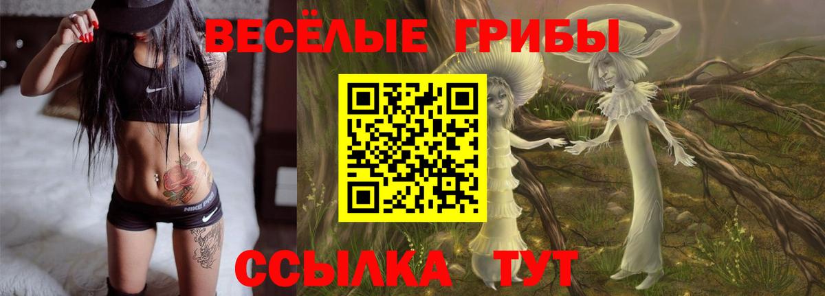 Псилоцибиновые грибы MAGIC MUSHROOMS  Псилоцибиновые грибы прущие грибы  Верхний Уфалей  Вход с VPN 