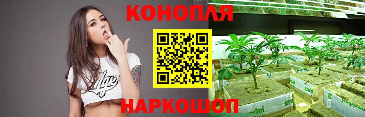 Марихуана конопля  Бошки марихуана индика  Верхний Уфалей  Вход с VPN  Марихуана ГИДРОПОН 
